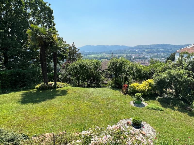 Splendida e caratteristica casa immersa nel verde (2)
