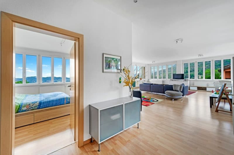 Ampia proprietà misto residenziale-commerciale con vista (2)