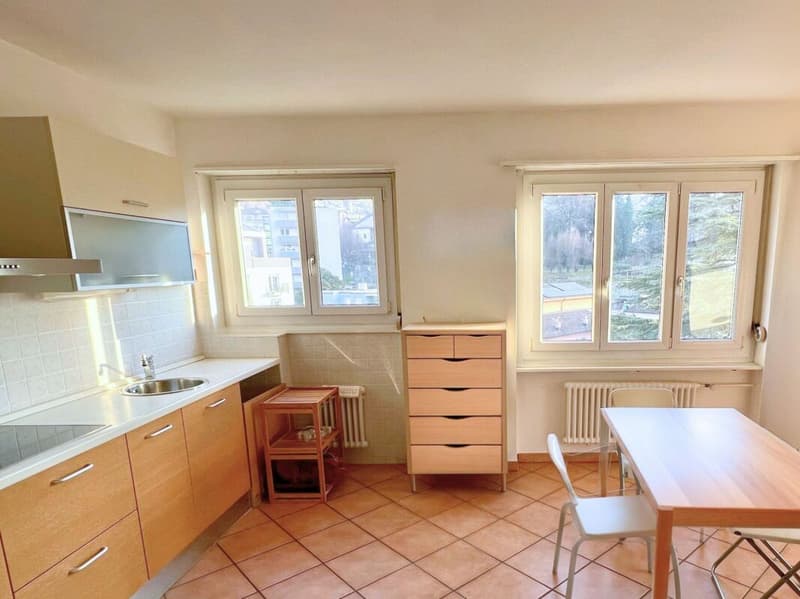 Bright and quiet 3.5-room apartment (4)