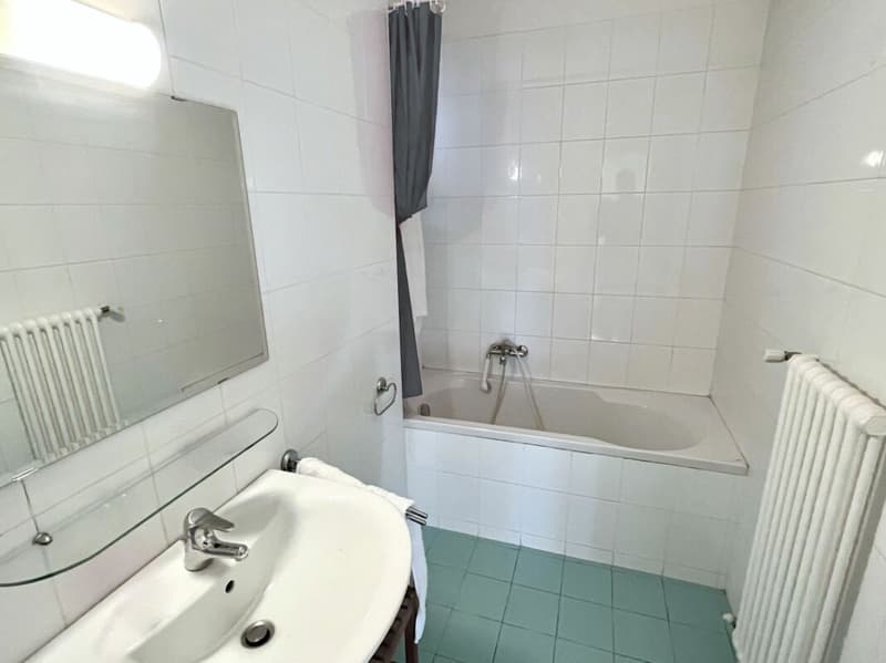 Bright and quiet 3.5-room apartment (8)