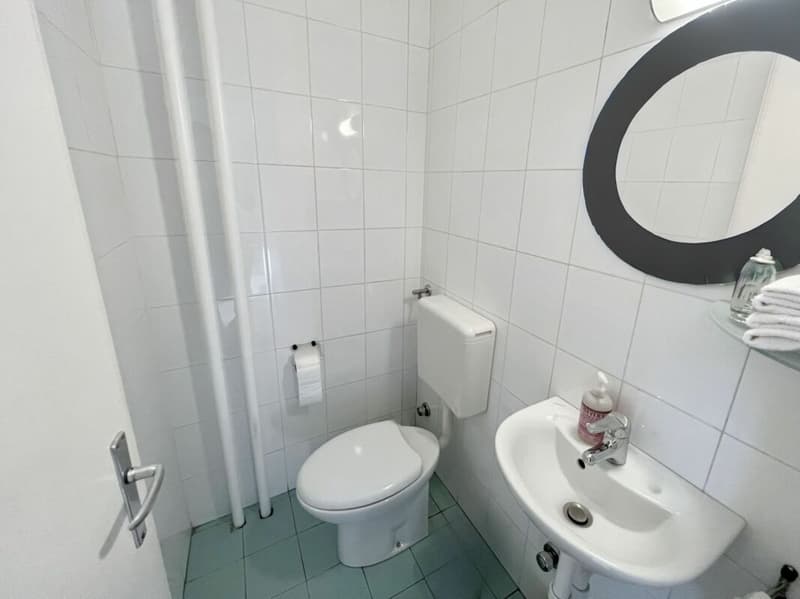 Bright and quiet 3.5-room apartment (7)