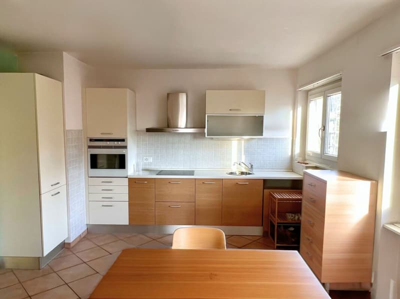 Bright and quiet 3.5-room apartment (3)