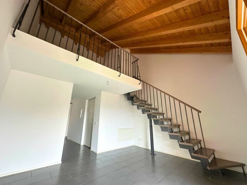 Appartement duplex caractéristique de 3,5 pièces, dernier étage (4)