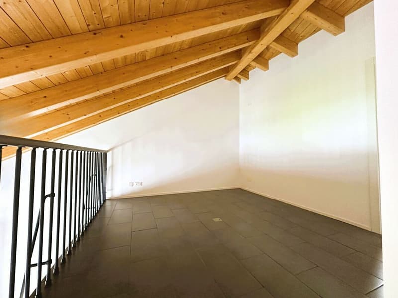 Appartement duplex caractéristique de 3,5 pièces, dernier étage (9)