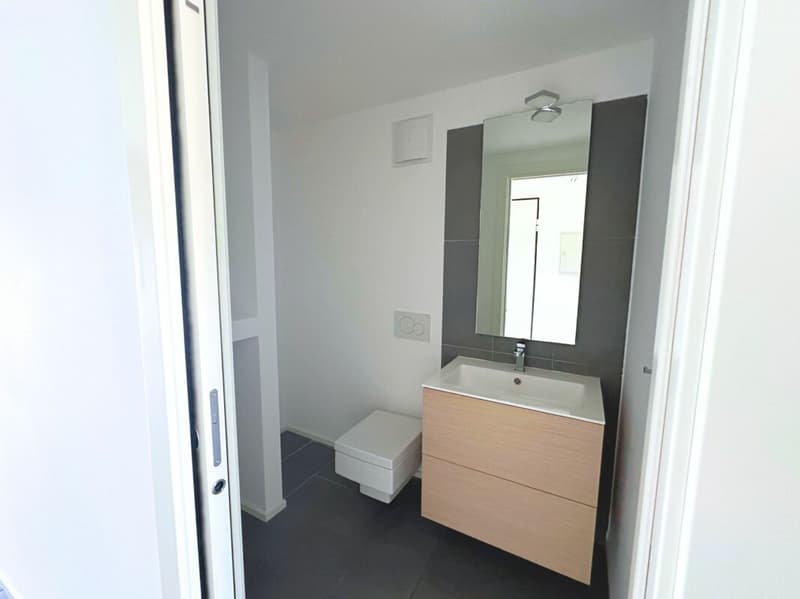 Appartement duplex caractéristique de 3,5 pièces, dernier étage (15)