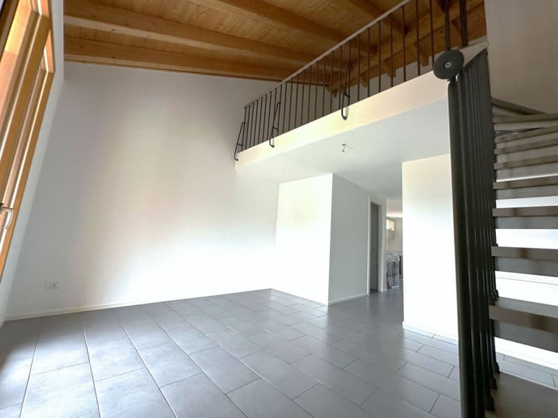 Appartement duplex caractéristique de 3,5 pièces, dernier étage (3)