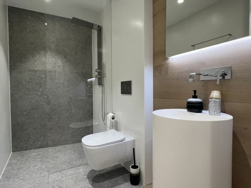 Modernes Apartment in Paradiso mit Pool, Fitnessraum und wunderschöner Aussicht (15)
