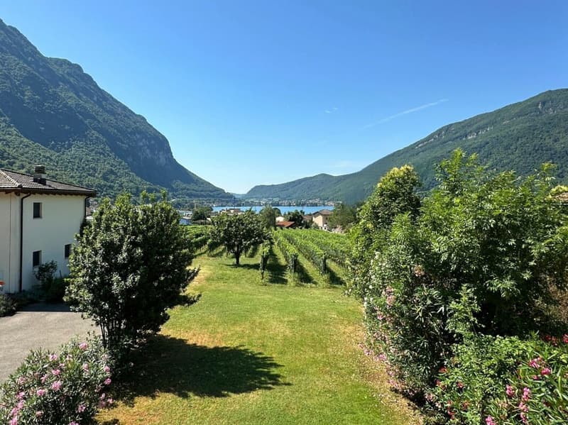 Interessantes Einfamilienhaus im Grünen, mit großem Hobbyraum/Garage und teilweisem Seeblick (6)