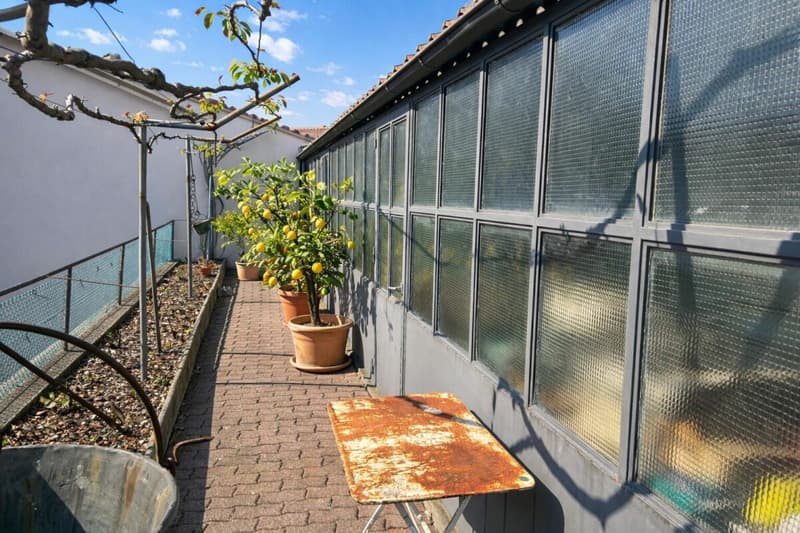 Villa élégante d'époque avec jardin et terrasses au cœur de Balerna (12)