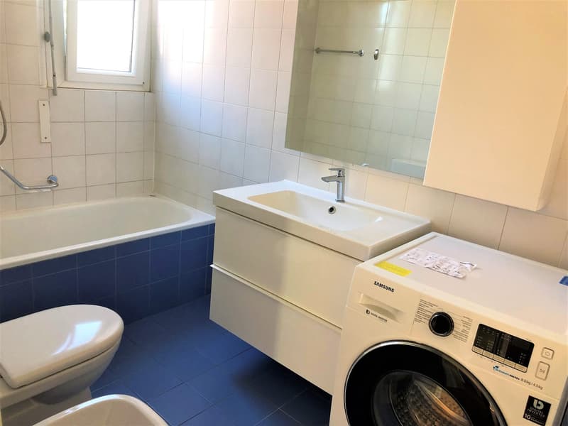 Appartement rénové avec place de parking, pas de frais de charges, 1 mois gratuit (8)
