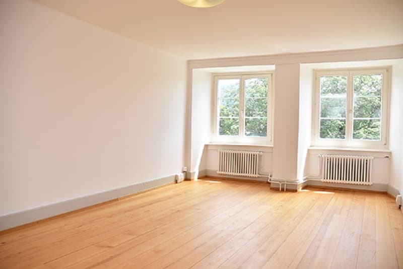 Beautiful apartment with modern flair in the town of Neunkirch (4)