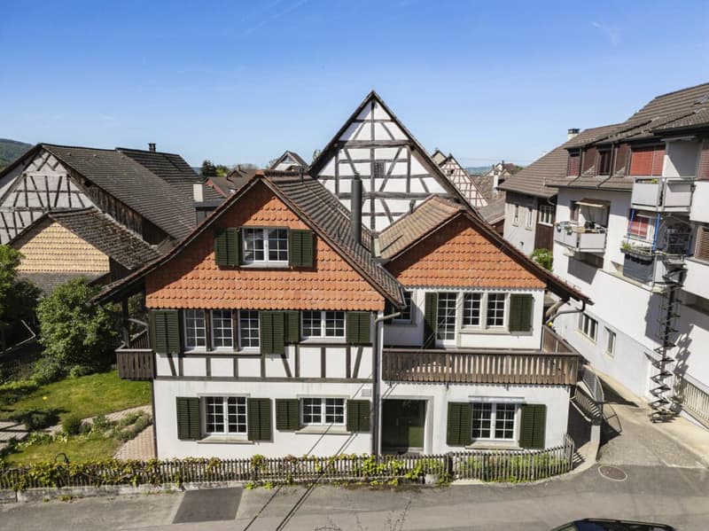 Dream House for Your Family - Individual Usage Options & Many Extras (3)