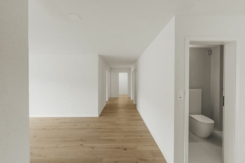 Dream apartment in extremely central location with excellent infrastructure (2)