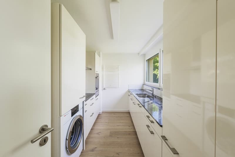 Dream apartment in extremely central location with excellent infrastructure (13)