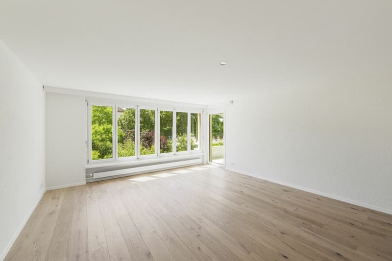 Dream apartment in extremely central location with excellent infrastructure (4)