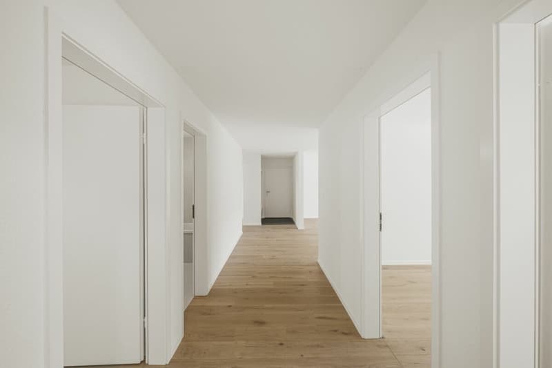 Dream apartment in extremely central location with excellent infrastructure (27)
