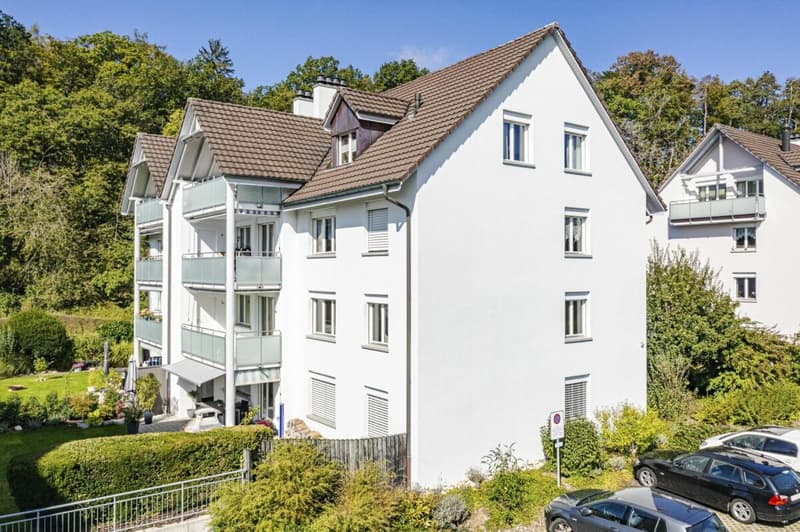 Charming Jewel in Popular Residential Area of Herblingen (15)