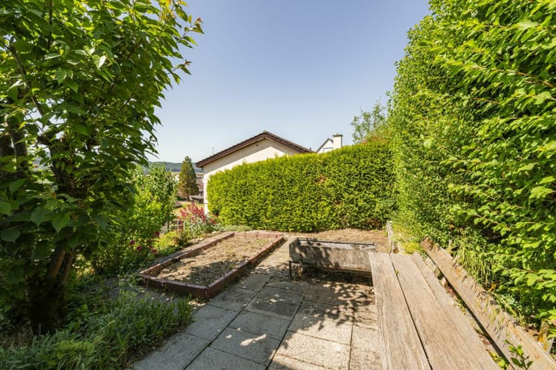 Votre rêve de maison avec un potentiel d'agrandissement ou d'extension dans un emplacement idéal à Beringen (31)