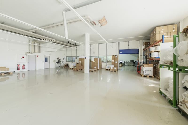 Spazio commerciale versatile e flessibile con collegamento di alta qualità a Schaffhausen (9)