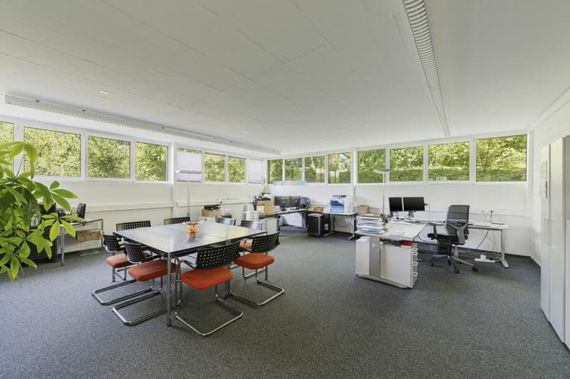 Spazio commerciale versatile e flessibile con collegamento di alta qualità a Schaffhausen (7)