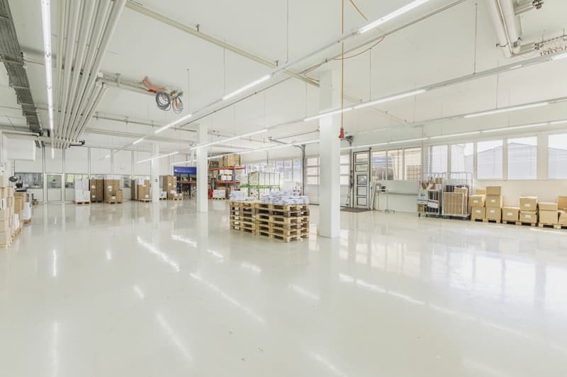 Spazio commerciale versatile e flessibile con collegamento di alta qualità a Schaffhausen (6)