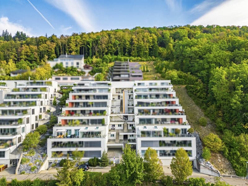 EXKLUSIVE TERRASSENWOHNUNG MIT ATEMBERAUBENDER AUSSICHT ÜBER DAS KLETTGAUGEBIET (6)
