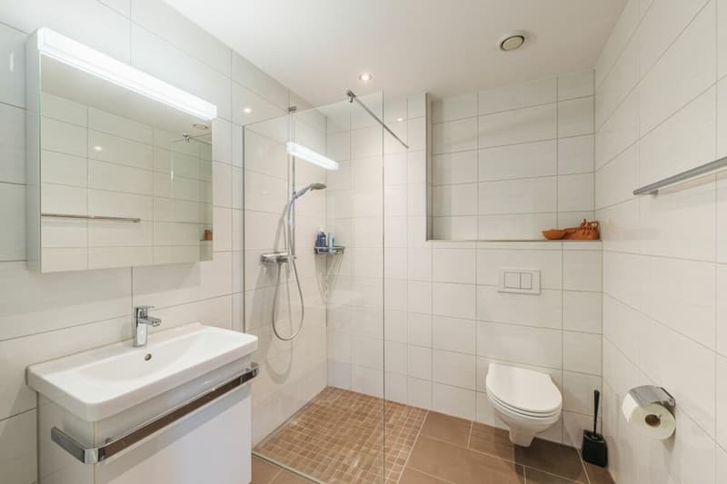 EXKLUSIVE TERRASSENWOHNUNG MIT ATEMBERAUBENDER AUSSICHT ÜBER DAS KLETTGAUGEBIET (20)