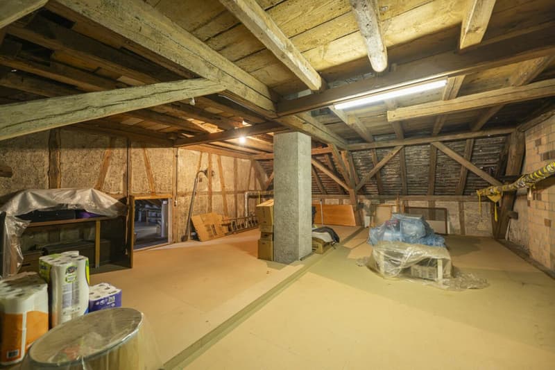 CHARMANTES MEHRFAMILIENHAUS - STETS VOLLVERMIETET - ENORMES POTENZIAL VORHANDEN (26)