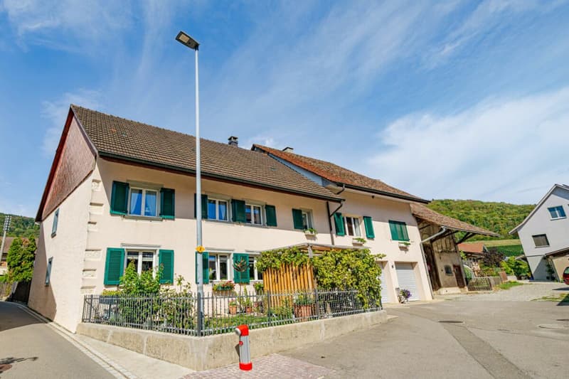 CHARMANTES MEHRFAMILIENHAUS - STETS VOLLVERMIETET - ENORMES POTENZIAL VORHANDEN (1)