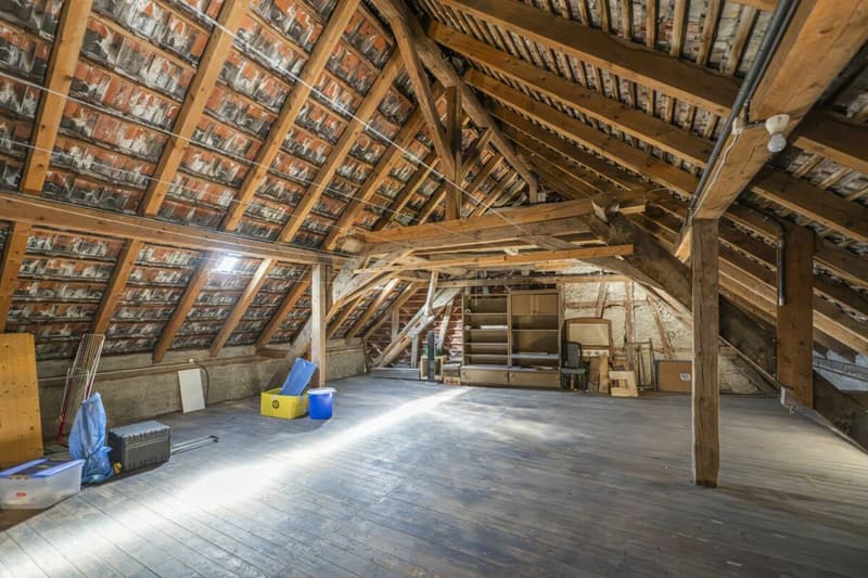 CHARMANTES MEHRFAMILIENHAUS - STETS VOLLVERMIETET - ENORMES POTENZIAL VORHANDEN (25)