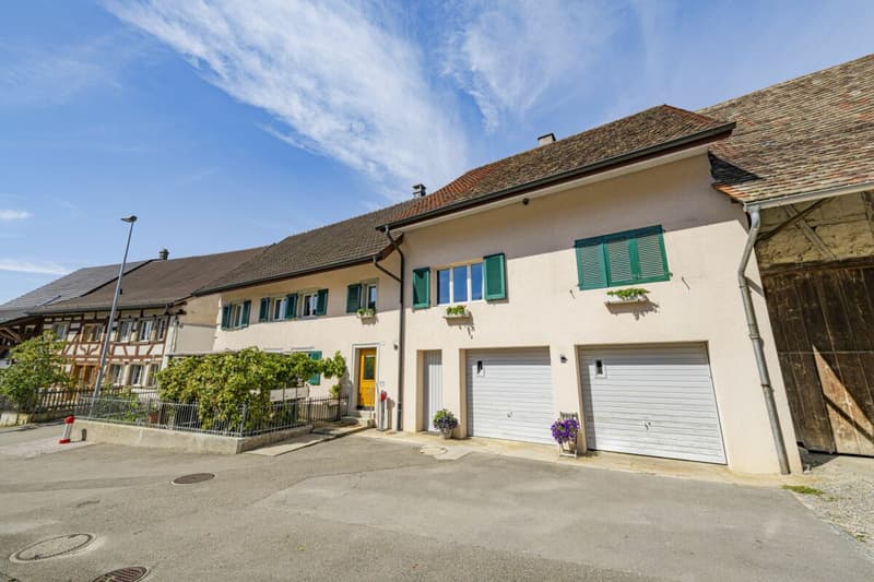 CHARMANTES MEHRFAMILIENHAUS - STETS VOLLVERMIETET - ENORMES POTENZIAL VORHANDEN (3)