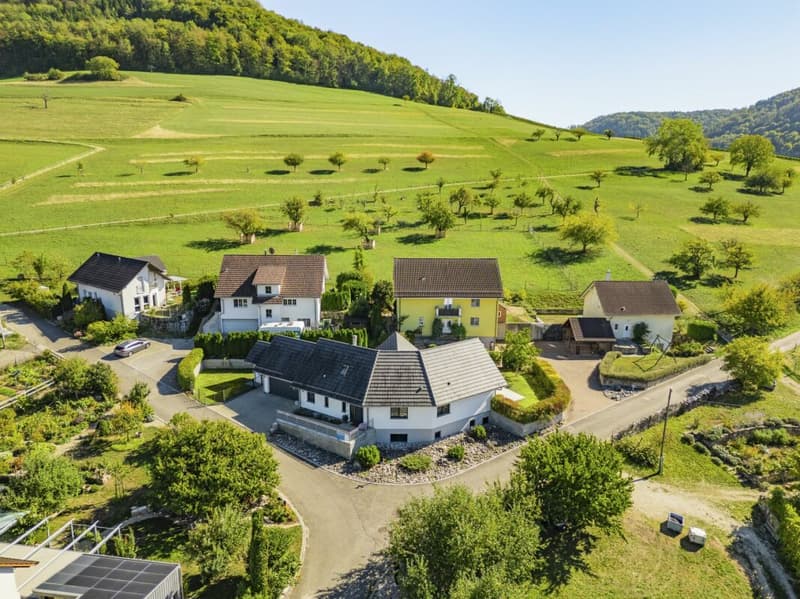 Fantastisches Einfamilienhaus in der malerischen Weinbaugemeinde Osterfingen (28)