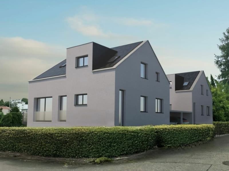Modern new build single-family house with annex (1)