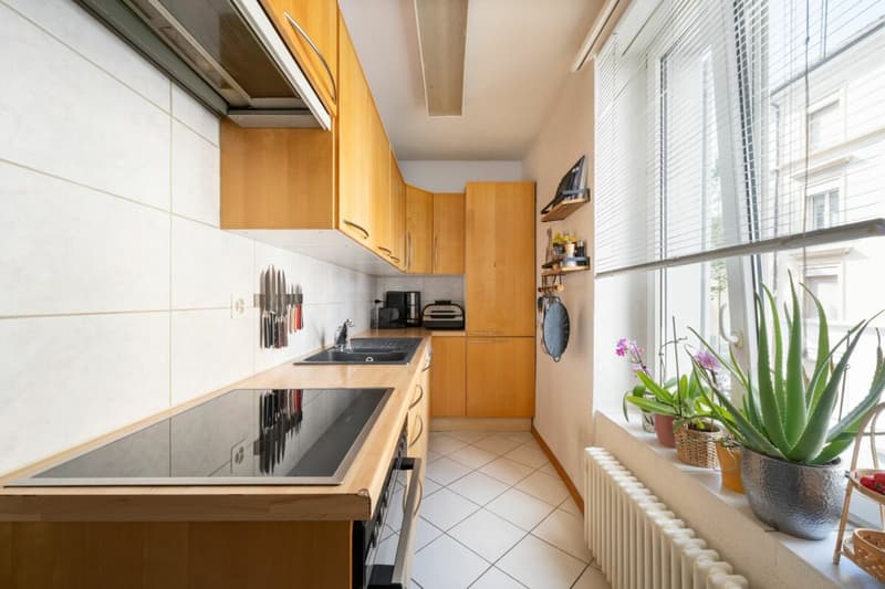 City apartment in Zurich's district 4 (8)