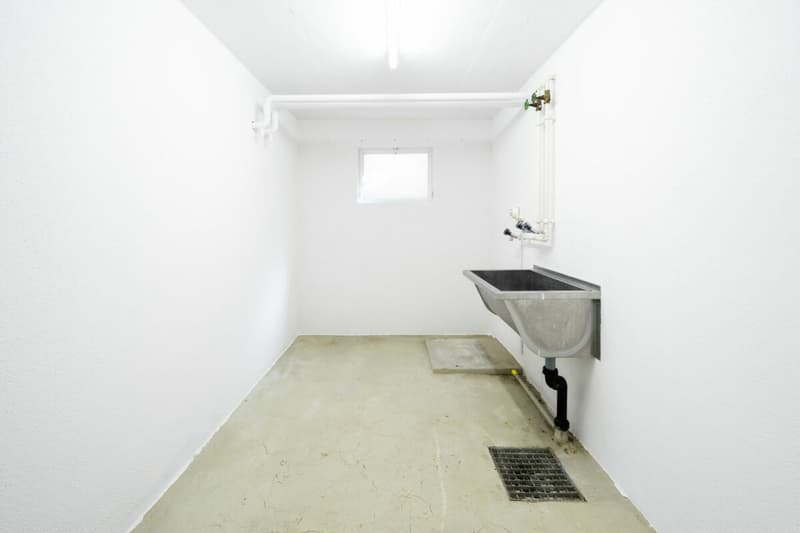 Bezugsbereit und hochwertig renoviert - Ihr neues Zuhause in Benglen (13)
