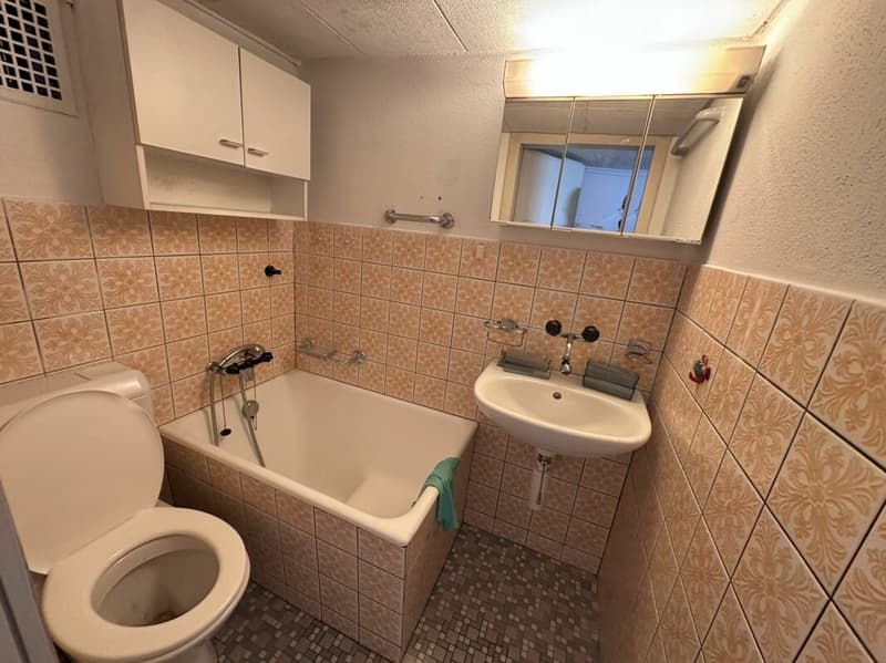 Casa unifamiliare con potenziale di sviluppo (8)