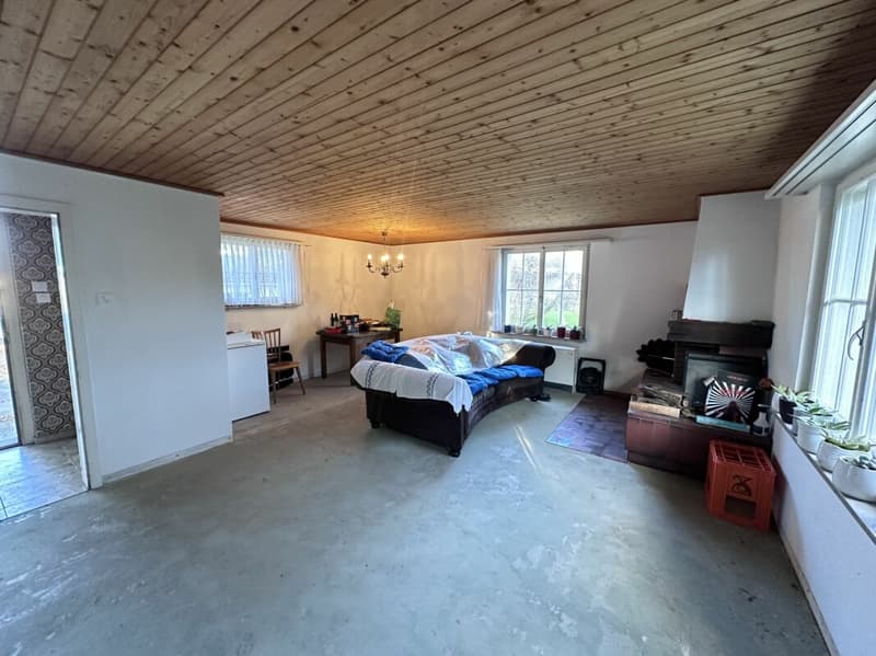 Casa unifamiliare con potenziale di sviluppo (5)