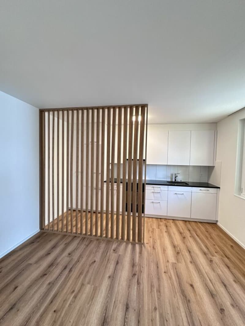4.5 Zimmer Wohnung an Zentraler Lage (2)
