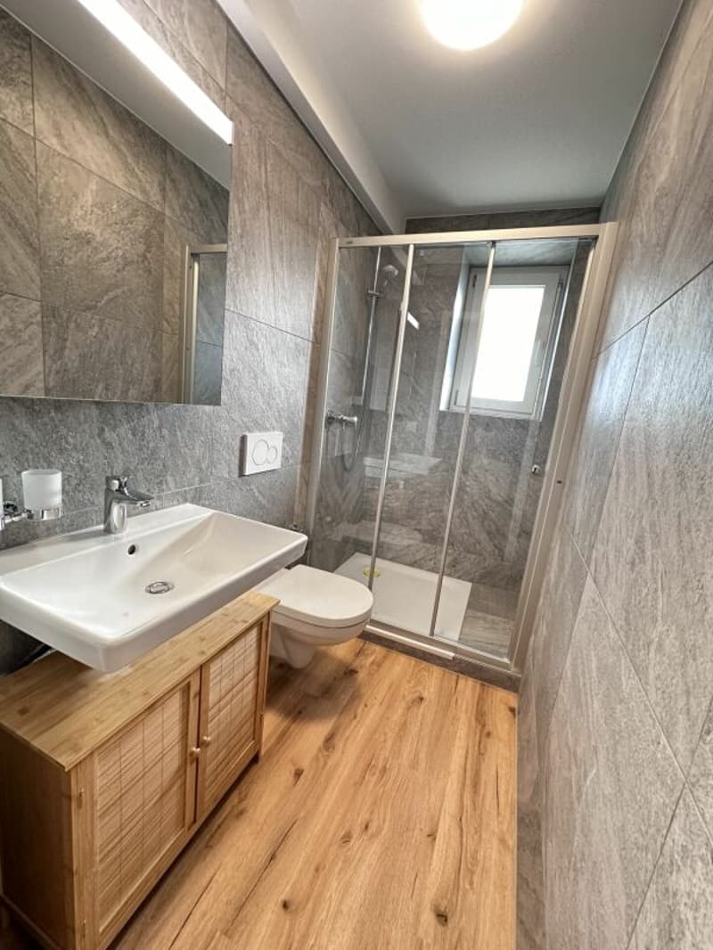 4.5 Zimmer Wohnung an Zentraler Lage (6)