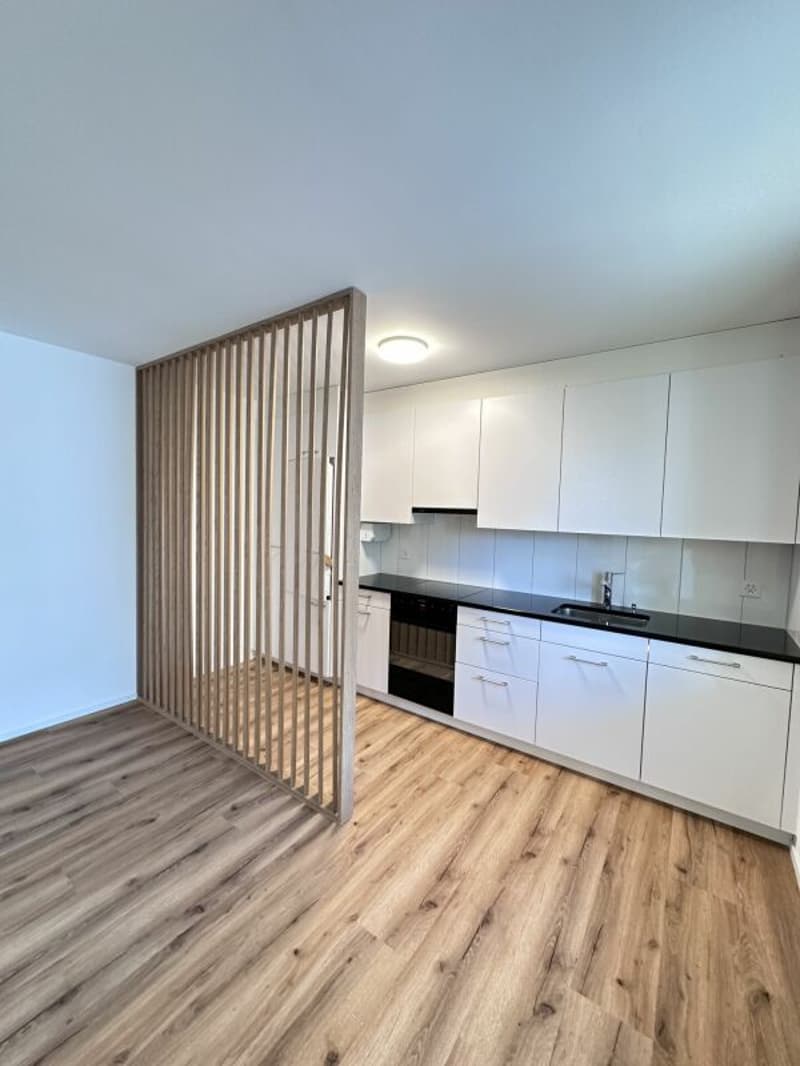4.5 Zimmer Wohnung an Zentraler Lage (3)