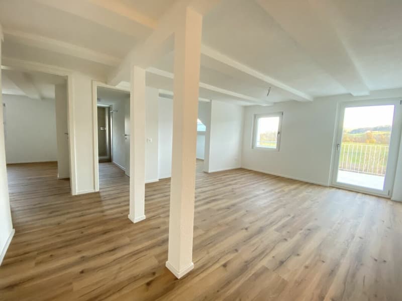 Appartamento di 4,5 locali con vista sul verde (5)