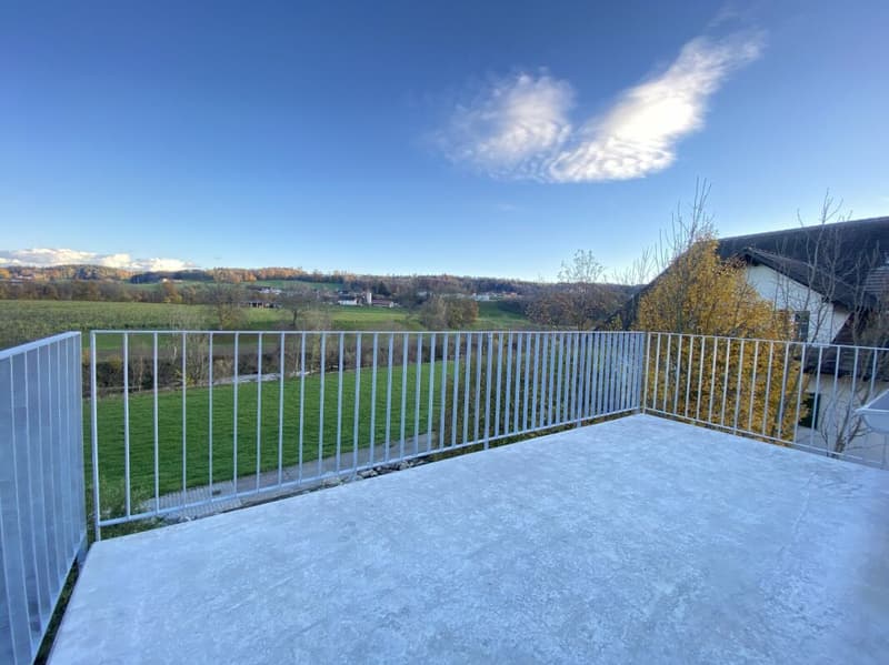 Appartamento di 4,5 locali con vista sul verde (10)