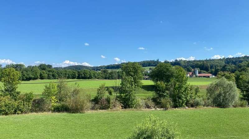 Aussicht Terrasse