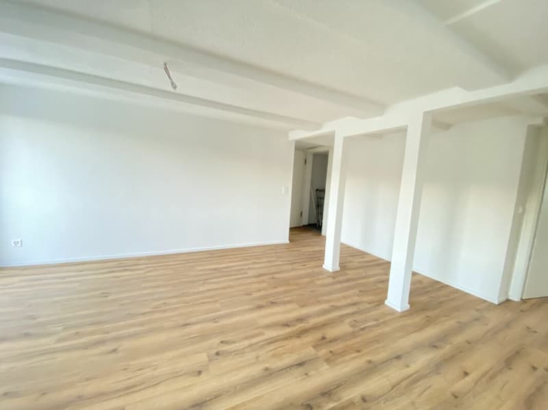 Appartamento di 4,5 locali con vista sul verde (6)