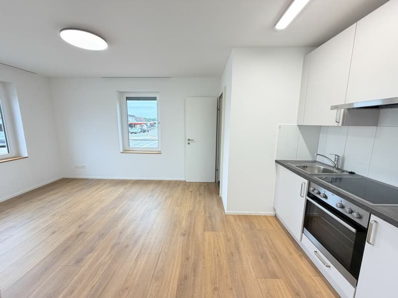 Appartamento 2.5 locali (2)