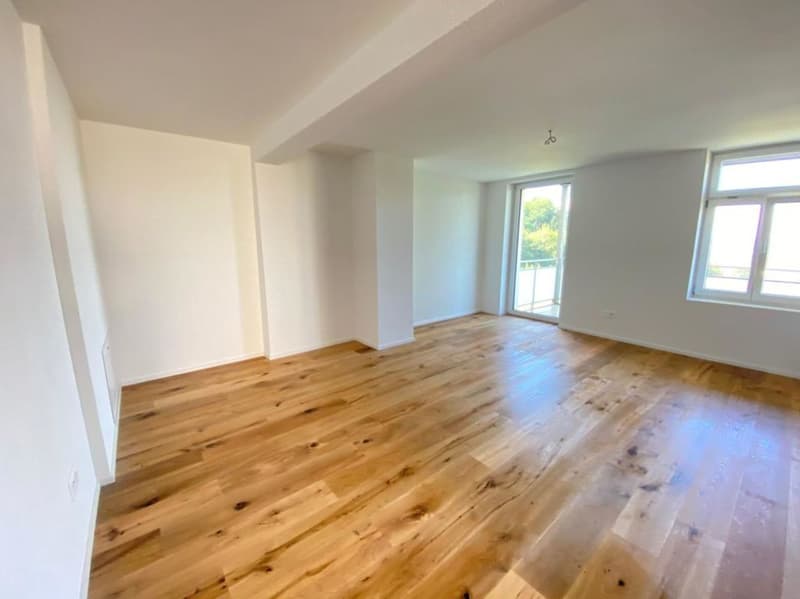 Appartement 1 pièce avec balcon (5)