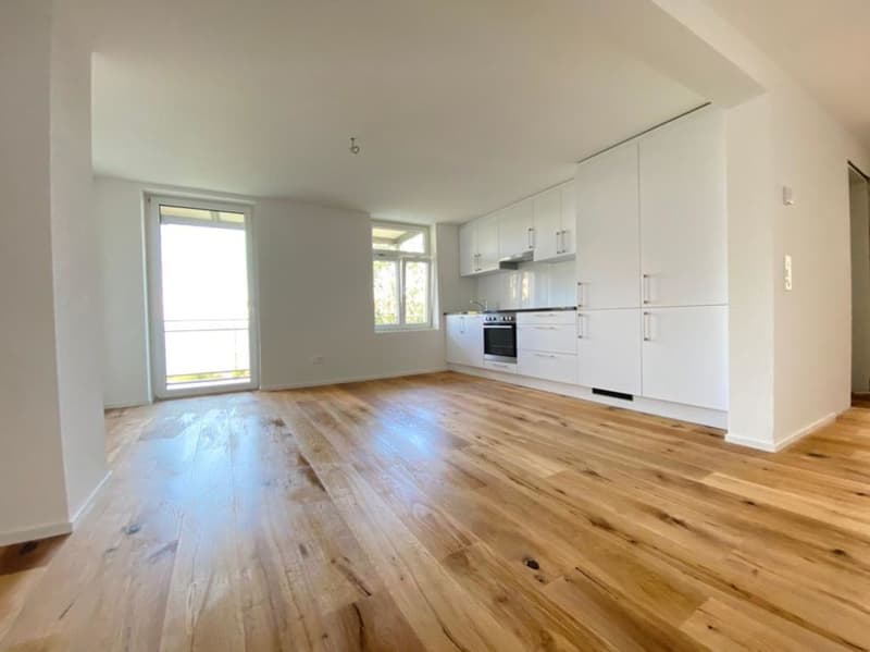 Appartement 1 pièce avec balcon (2)