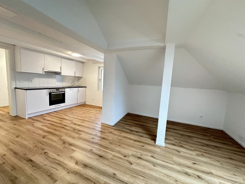 2.5 Zimmer Wohnung (1)