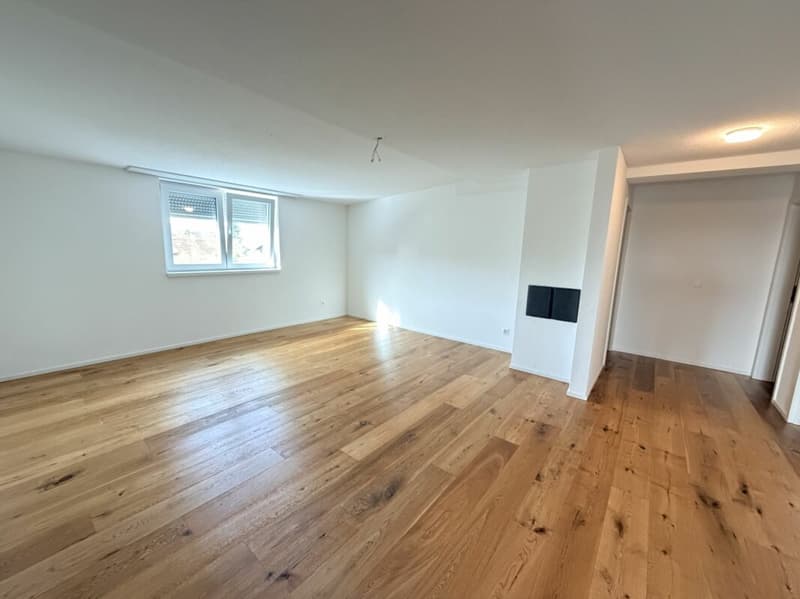 5.5 Zimmer Wohnung (2)