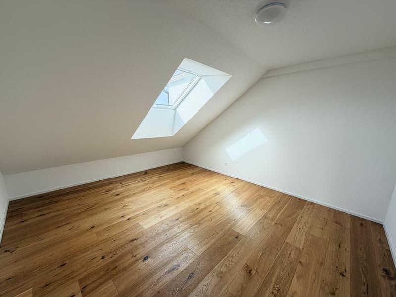 5.5 Zimmer Wohnung (12)